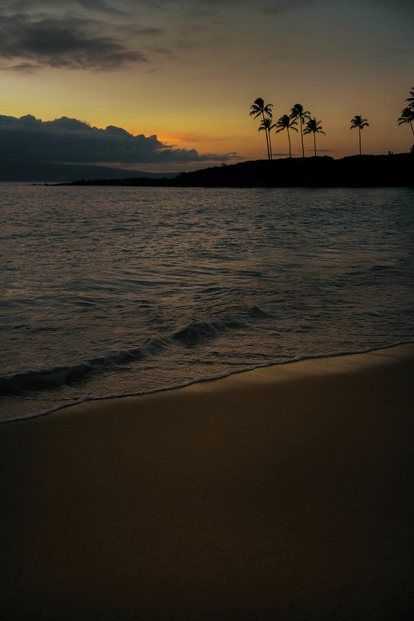 Palm Sunset On Kapalua Photograph