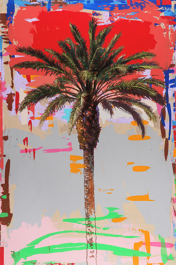Palm Tree Painting - Palm Tree #1 by David Palmer
