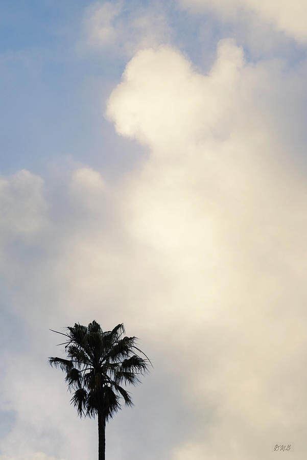 Palm Tree and Clouds Color Photograph by David Gordon