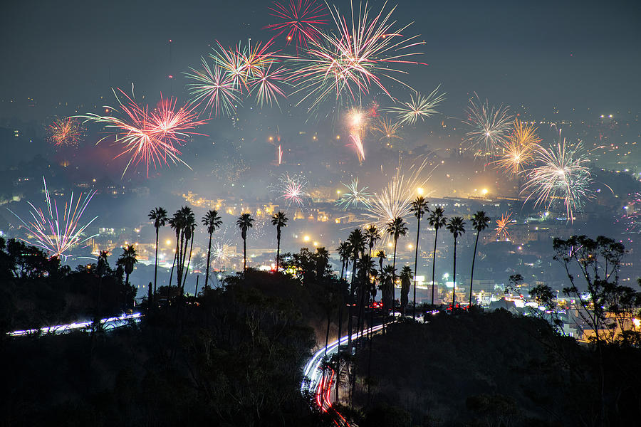 Palm Tree Fireworks Photograph by Evan Bracken Fine Art America