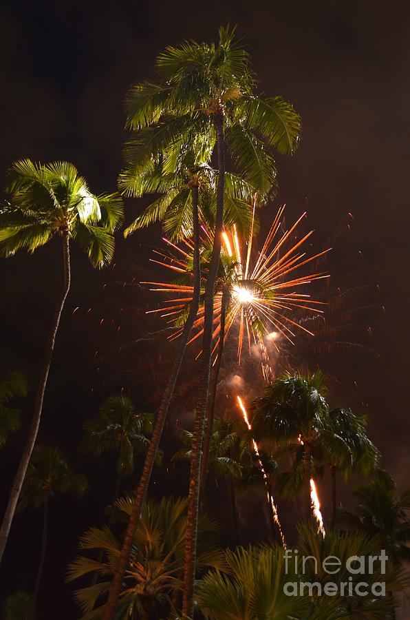 Beach Photograph - Palm Tree Fireworks Series - 3 by Mary Deal