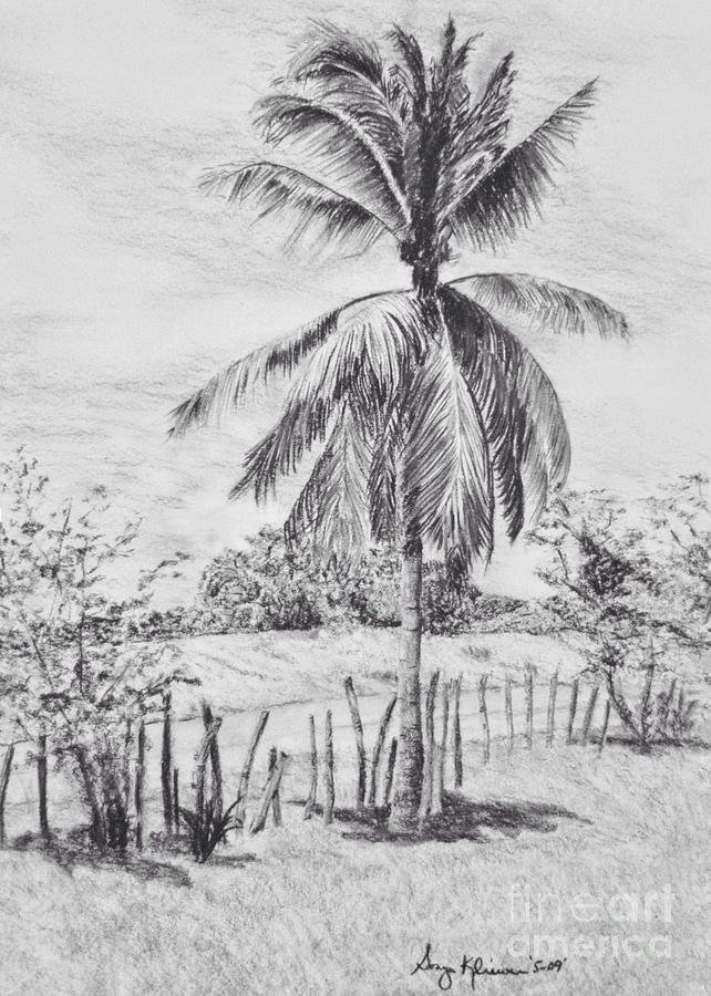 Pencil Drawing, Coconut Palm Tree, Beach, Canoe, Tropical, Huts, Exotic  4x6" | eBay