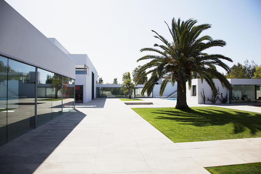 Palm tree in courtyard of modern house Photograph by Martin Barraud