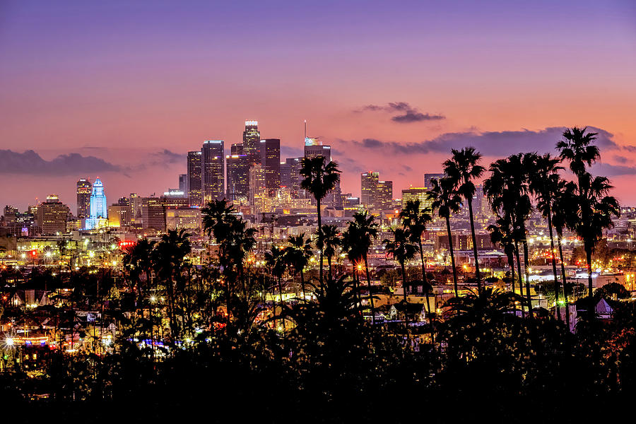Palm Tree Los Angeles Skyline Photograph by Aron Kearney - Fine Art America