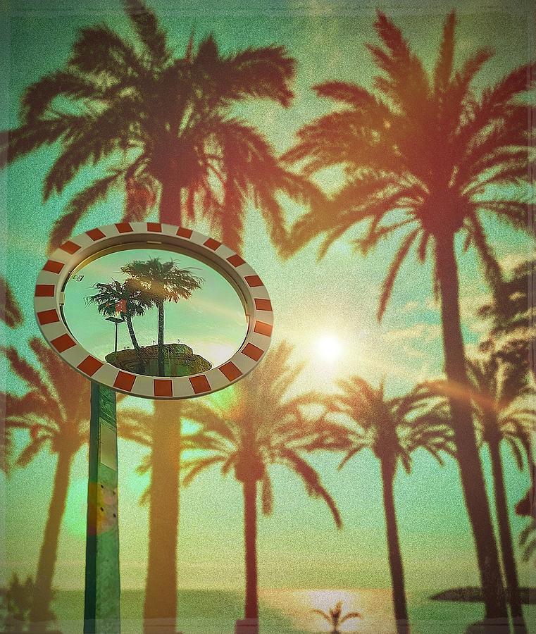 Palm tree Mirror. Photograph by Miguel Gutierrez - Pixels