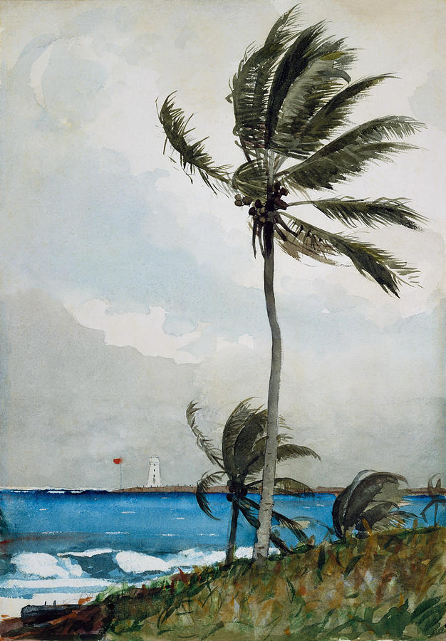 Palm Tree - Nassau - Winslow Homer 1898 Painting by War Is Hell Store