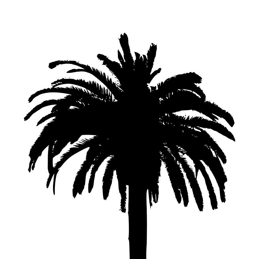 Palm Tree Silhouette Digital Art by Art Spectrum