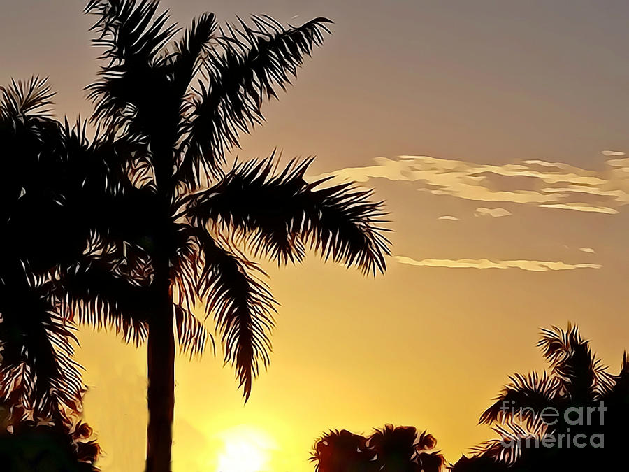Palm Tree Silhouette Digital Art by Judy Palkimas