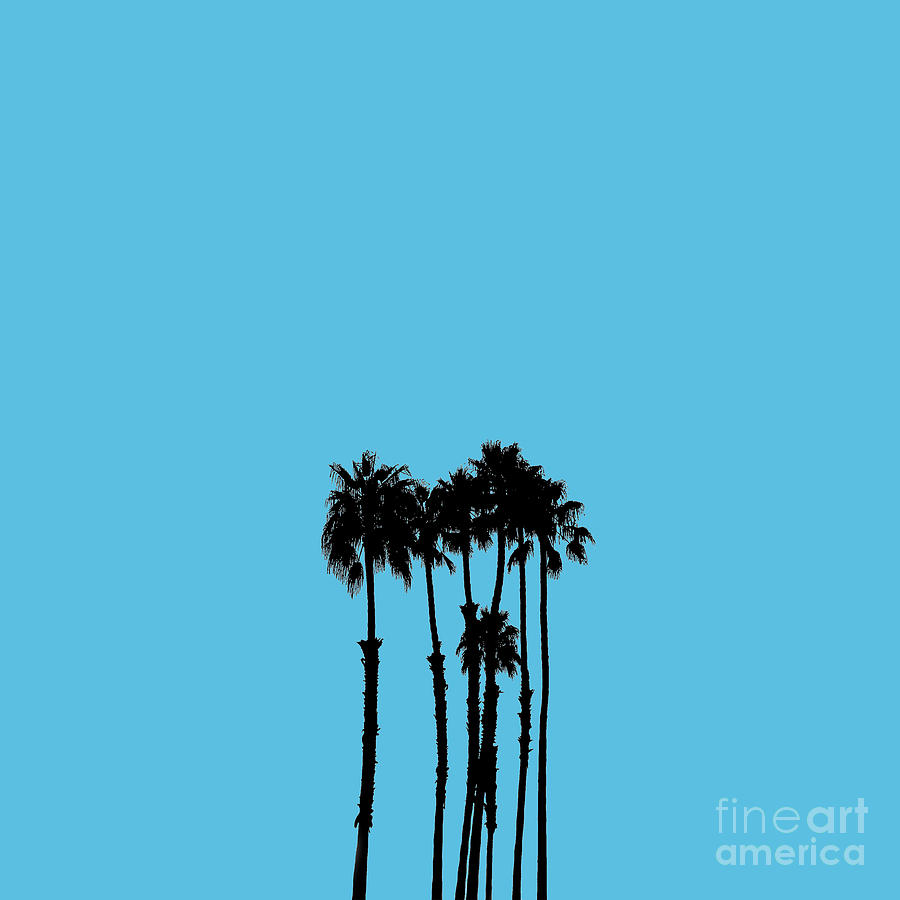 Palm Tree Silhouettes Photograph by Fei A