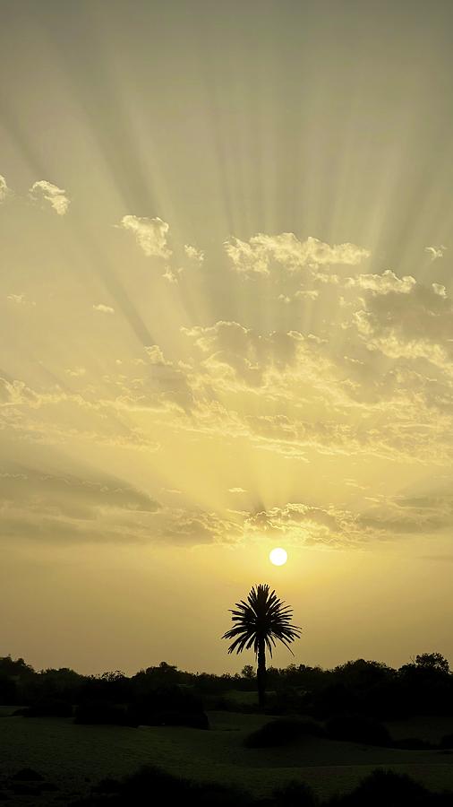 Palm Tree Sunset Grand Canary Spain Photograph by Matthias Hauser