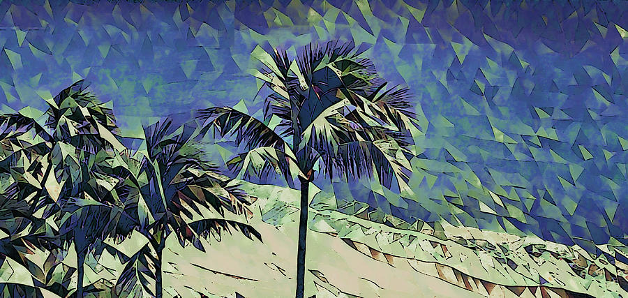 Palm Trees 630 Photograph by Corinne Carroll