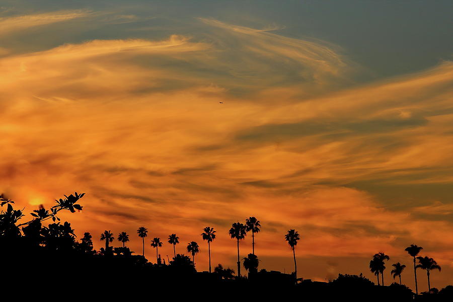 Palm Trees and Orange Skies Photograph by Russ Harris