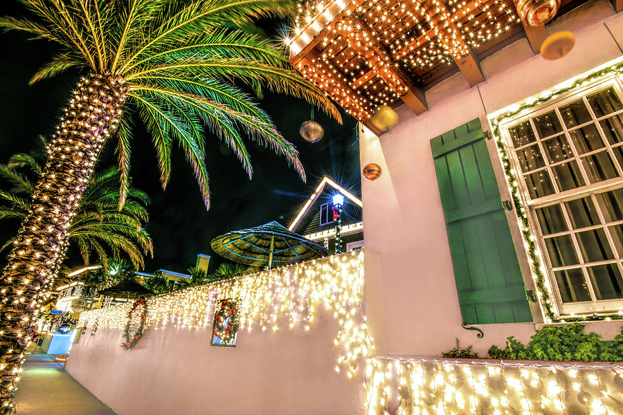 Palm trees and ornaments Photograph by Stacey Sather