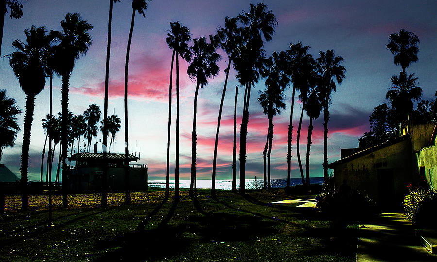 Palm Trees and Pastel Skies Photograph by Joseph Hollingsworth