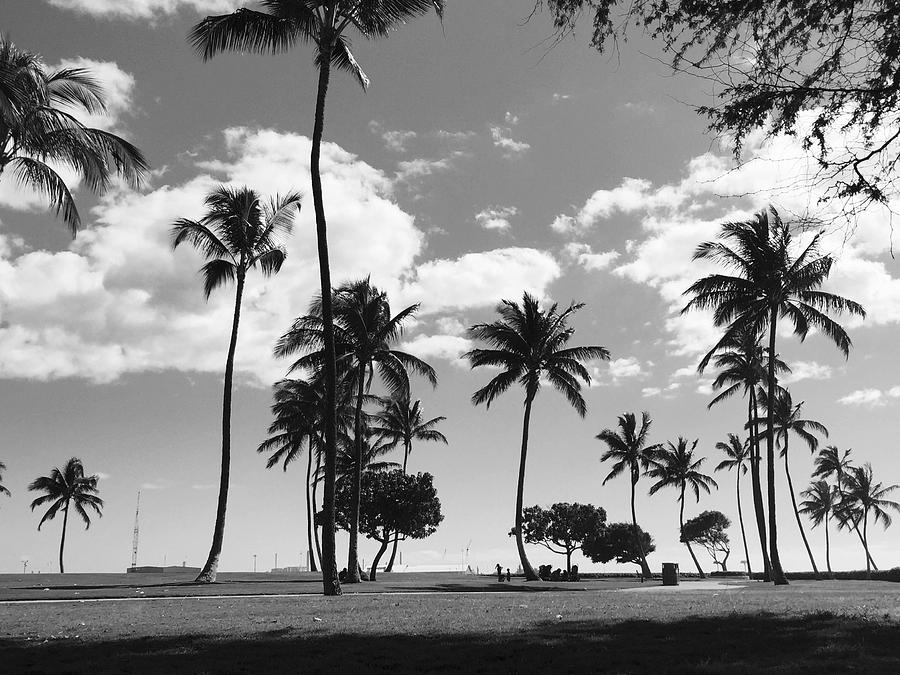 Palm trees at beach Photograph by Adele Vallar / FOAP