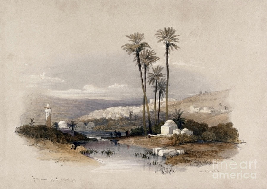 Palm trees at Jenin, Palestine q1 Painting by Historic illustrations