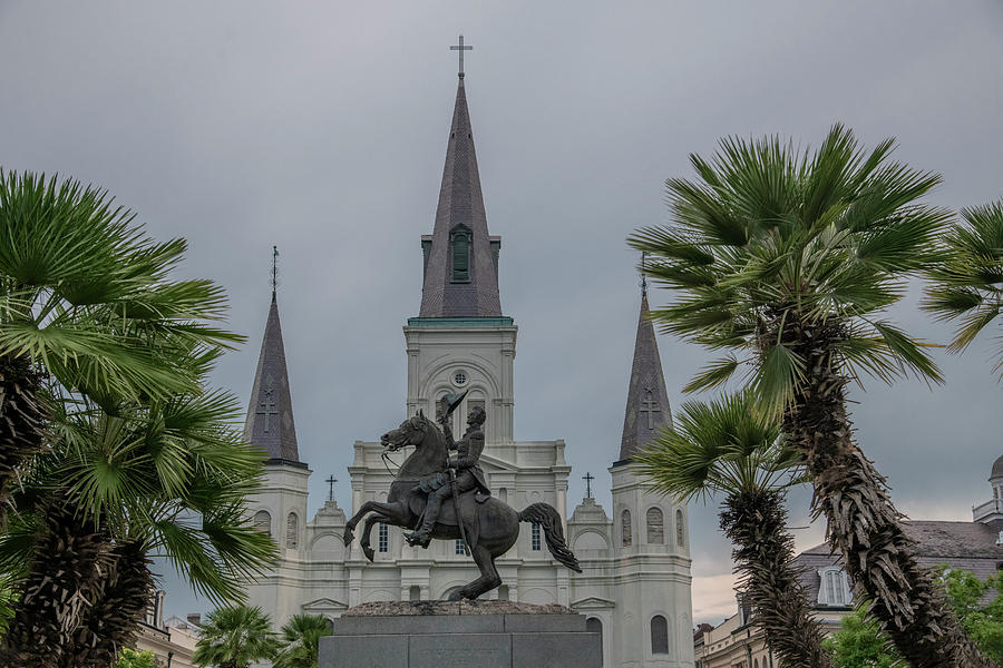 Palm Trees at St Louis Cathedral New Orleans  Photograph by FineArtRoyal Joshua Mimbs