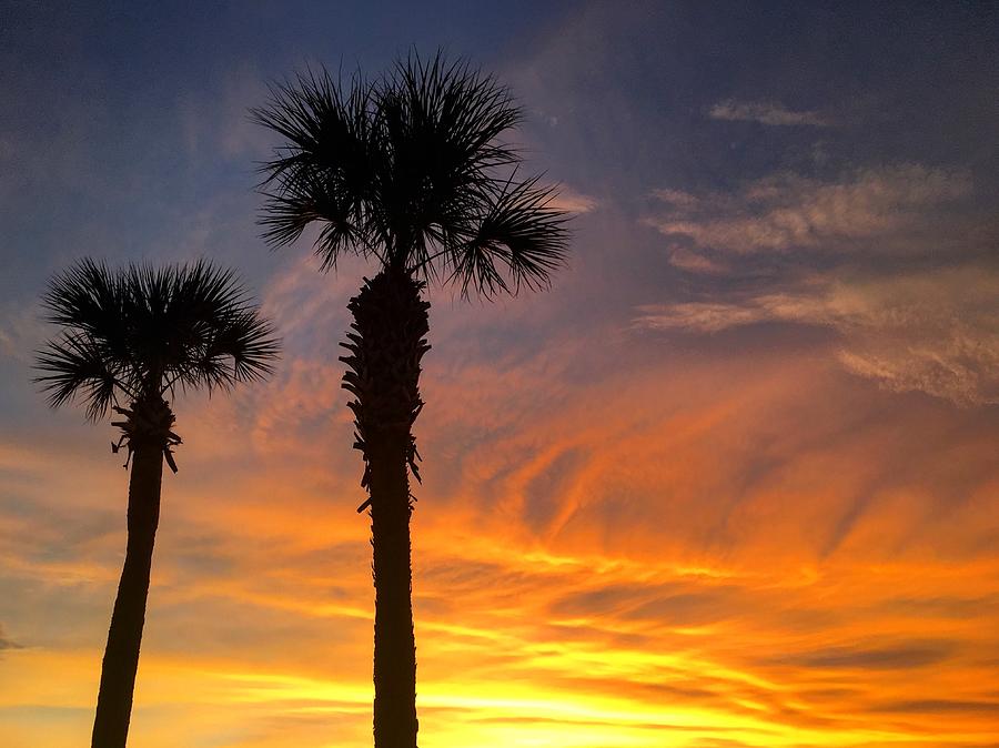 Painted Rocks Palm Trees Silhouette Beach Decor Sunset Sunrise Painting 