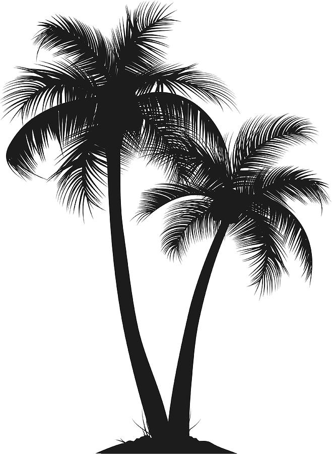 Palm Trees Drawing by Ctoelg