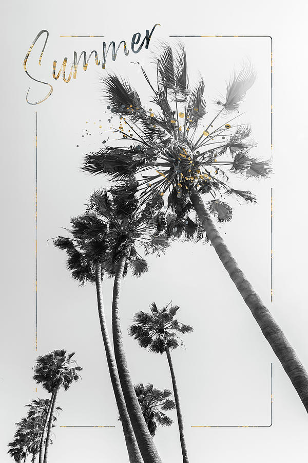 Palm Trees Impression - Summer  Photograph by Melanie Viola