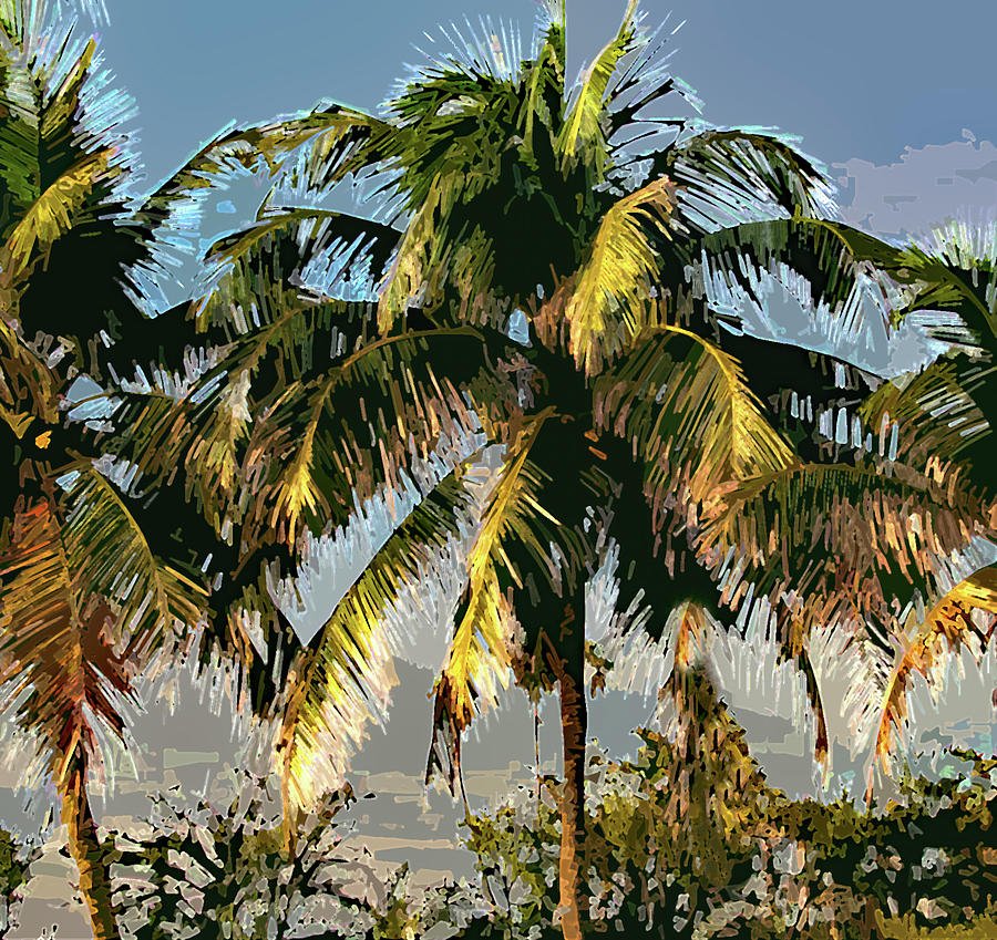 Palm Trees in Sunshine Photograph by Corinne Carroll