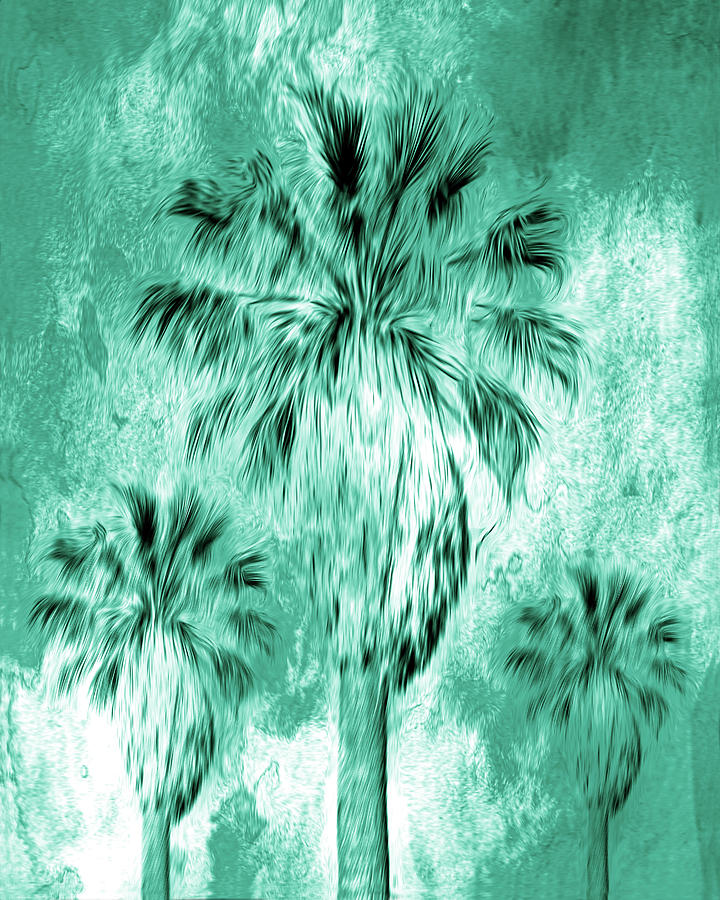 Palm Trees In The Wind Photograph by Jerry Cowart