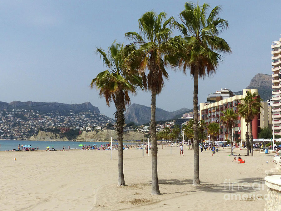 Palm trees on the beach at Calpe Photograph by Phil Banks