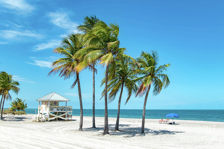 Palm Trees on the Beach, Key Biscayne, Florida Photograph by Beachtown Views