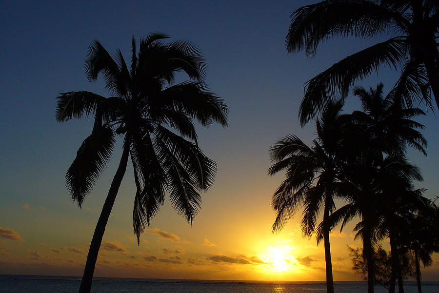 Palm Trees Sunset in Paradise Photograph by Kathrin Poersch