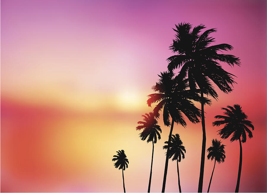 Palm trees sunset Drawing by Nico_blue
