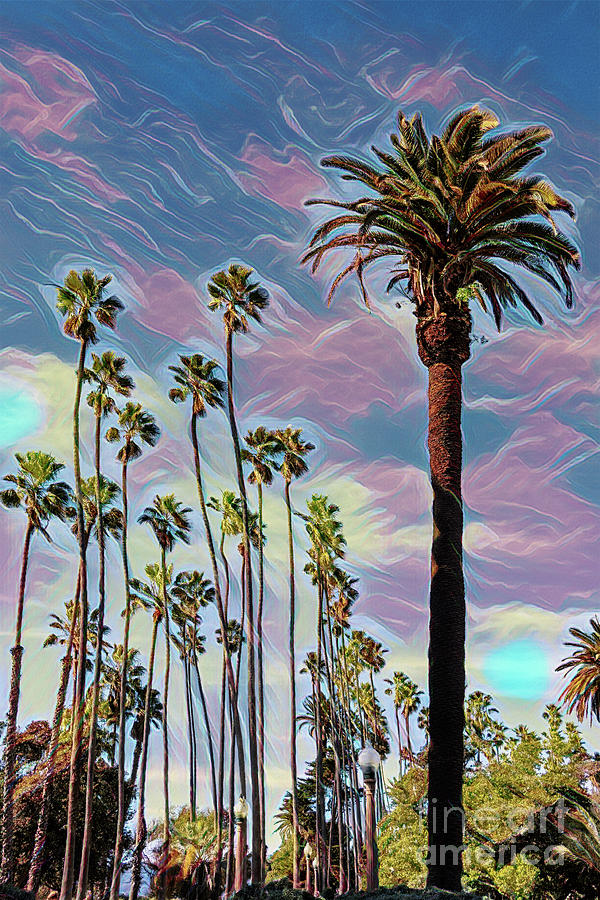 Palm Trees with Pastel Sky Photograph by Roslyn Wilkins
