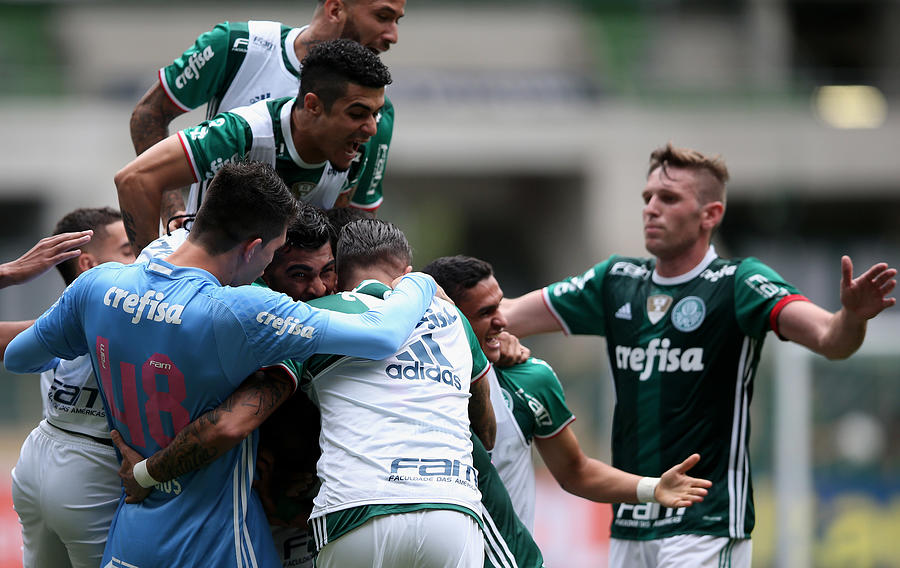 Palmeiras v Sport Recife - Brasileirao Series A 2016 Photograph by Friedemann Vogel
