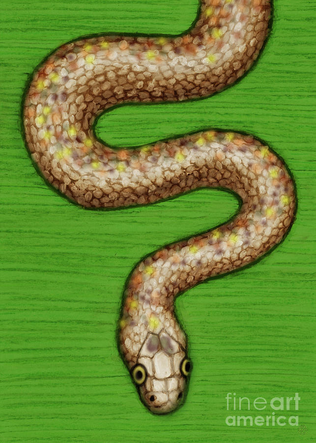 Palmetto Corn Snake  Painting by Amy E Fraser