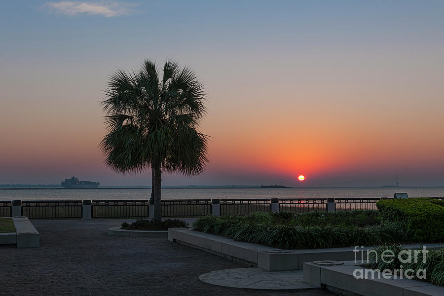 Palmetto Sunrise - Waterfront Park - Charleston Photograph
