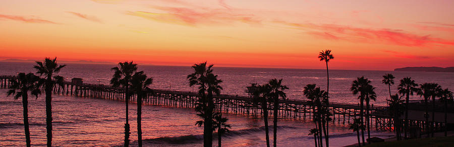 Sunset Photograph - Palms Afire by Tony Spencer