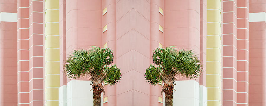 Palms and Blush Pink Abstract Architecture Photograph by Brooke T Ryan