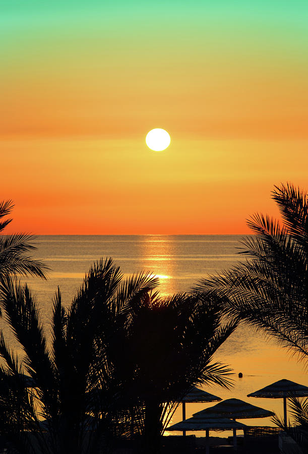 Palms And Sunrise Over Sea Photograph By Mikhail Kokhanchikov Fine Art America