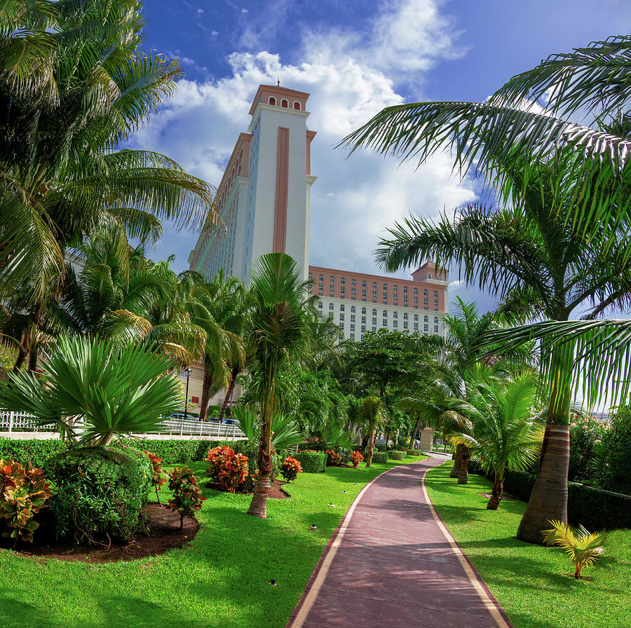 Palms at the Riu Cancun Photograph by Sun Travels