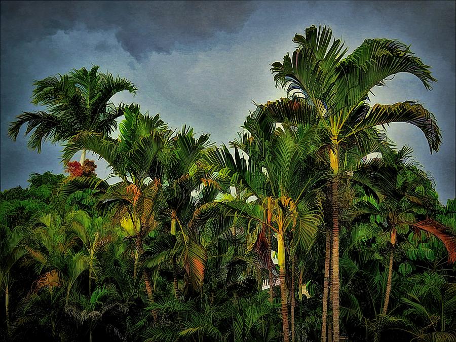Palms in Our Garden Mixed Media by Joan Stratton