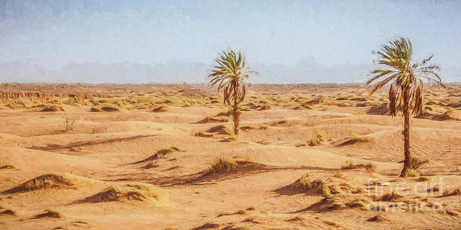 Palms in the Desert Photograph by Liz Leyden