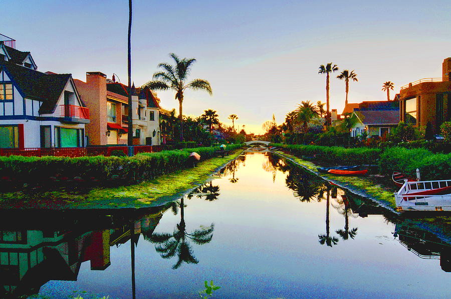 Palms Reflected Photograph by Richard Omura