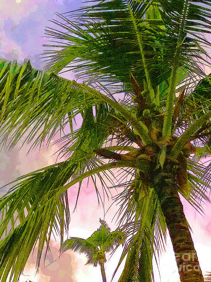 Sunset Photograph - Palms Spring II by Kelly Council Sunset Photograph - Palms Spring II by Kelly Council