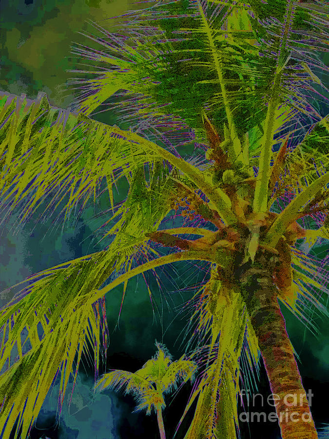 Sunset Photograph - Palms Spring III by Kelly Council Sunset Photograph - Palms Spring III by Kelly Council