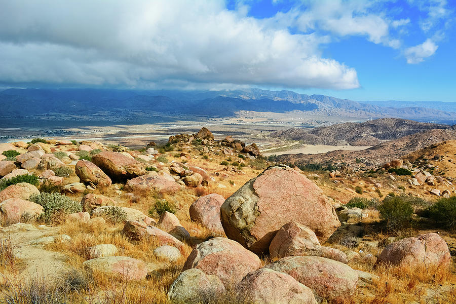 Palms To Pines Scenic Byway Photograph By Kyle Hanson