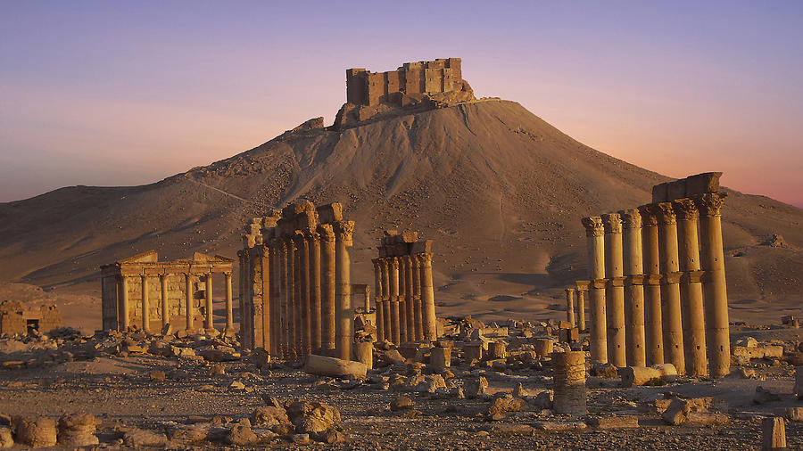 Palmyra, Syris Photograph by Nick Brundle Photography