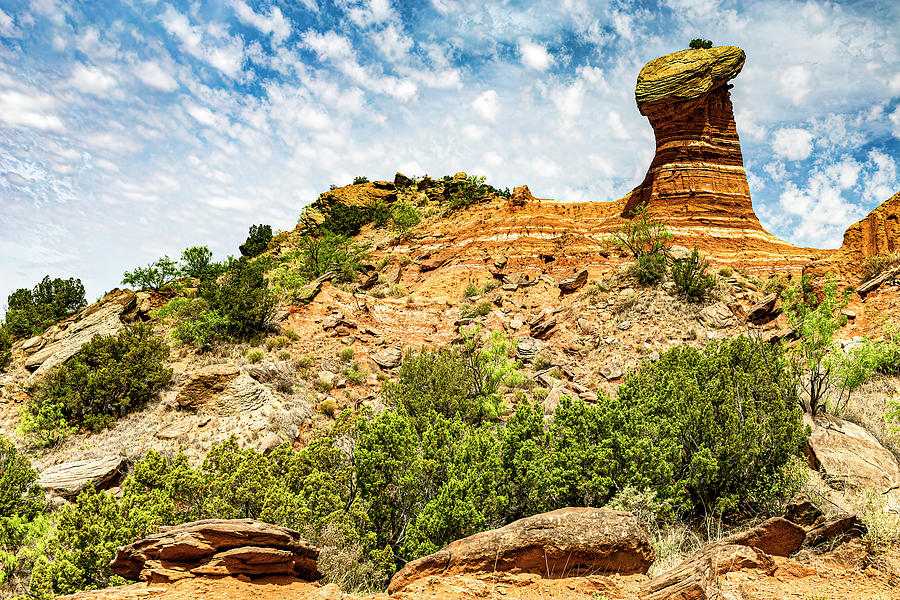 Palo Duro Canyon-019-C Photograph by David Allen Pierson Palo Duro Canyon-019-C Photograph by David Allen Pierson