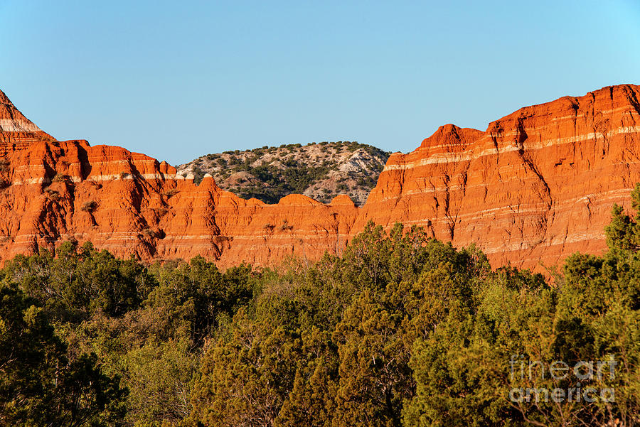 Palo Duro Canyon Landscape One Photograph by Bob Phillips