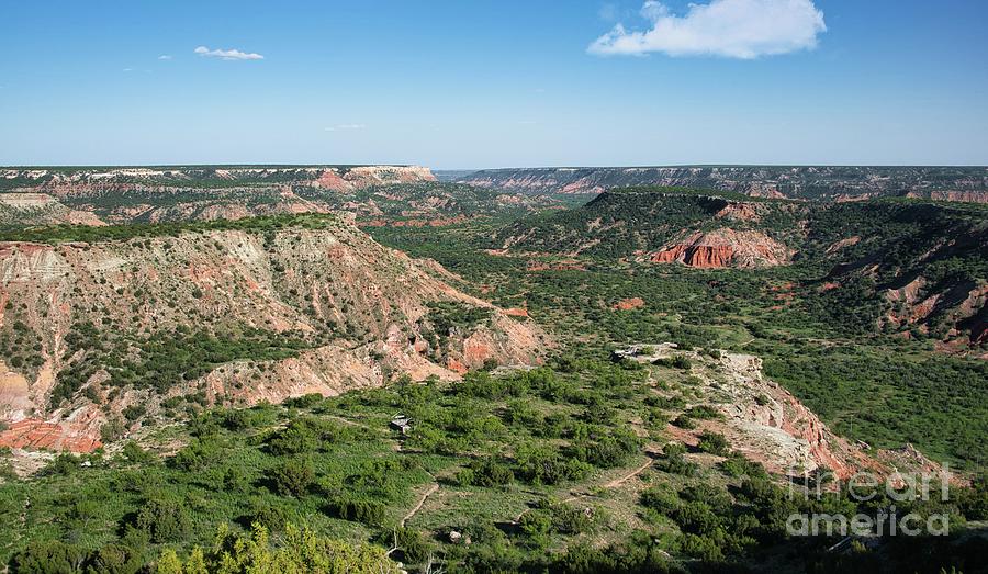 Palo Duro Canyon State Park 3 Photograph by Andrea Anderegg