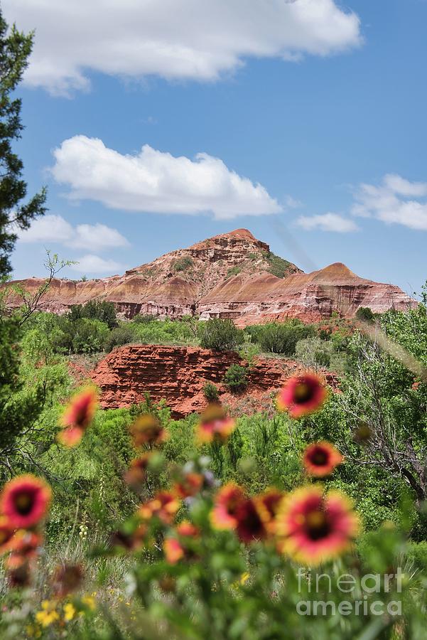 Palo Duro Canyon State Park 4 Photograph by Andrea Anderegg