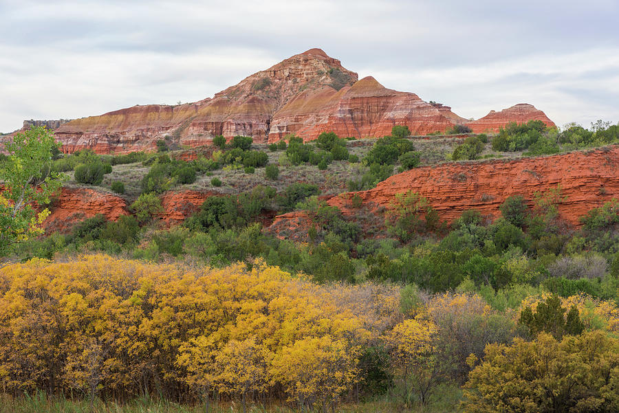 Palo Duro Fall Photograph by Morris McClung